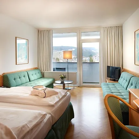 赛尔兰德斯特恩酒店 4* 维林根