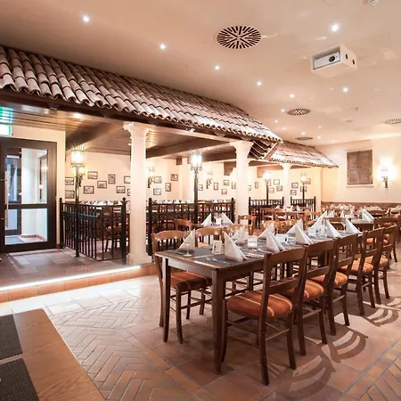 赛尔兰德斯特恩酒店 维林根