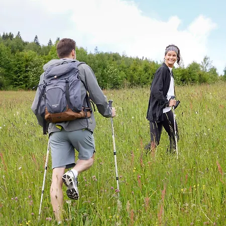 赛尔兰德斯特恩酒店 酒店 维林根